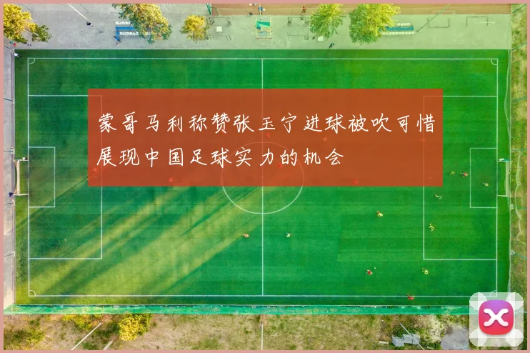 蒙哥马利称赞张玉宁进球被吹可惜展现中国足球实力的机会